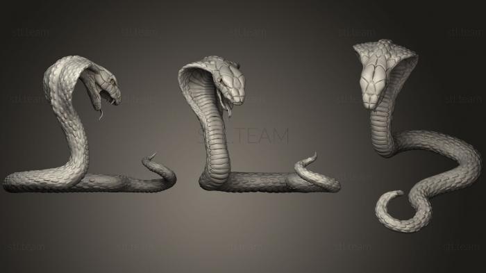 3D модель Гигантская Змея (STL)